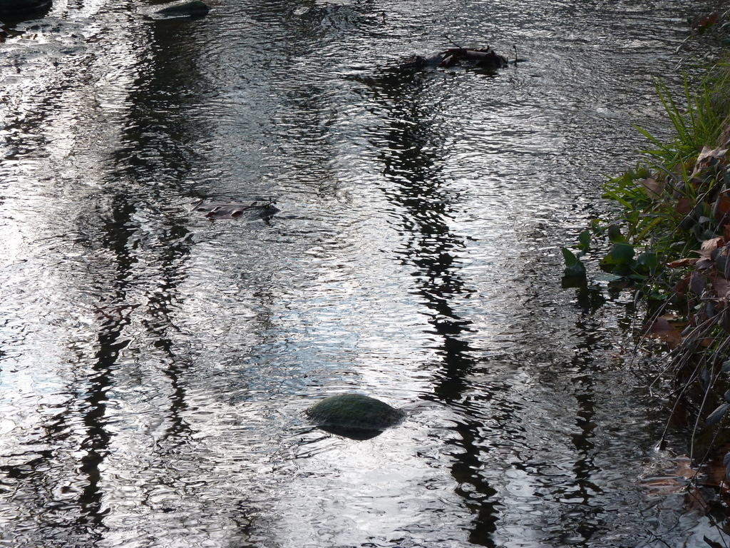 No s'ha trobat l'arxiu